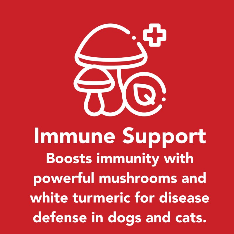 Immune Support — boosts immunity with powerful mushrooms and white turmeric