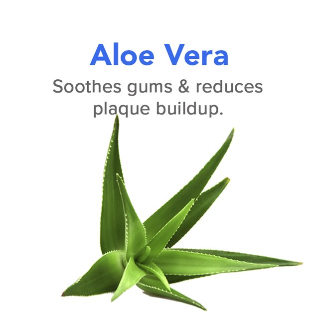 Aloe vera — ingredient in VetSmart Formulas Total Oral Care