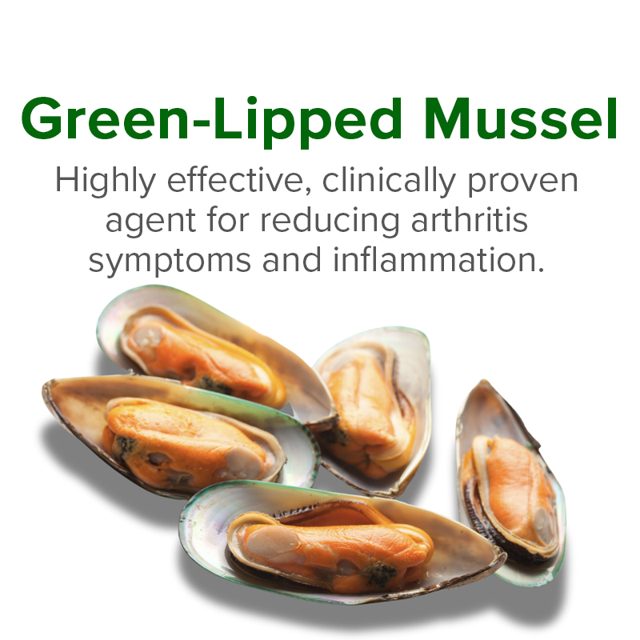 Green-lipped mussel — ingredient in VetSmart Formulas Critical Joint Relief
