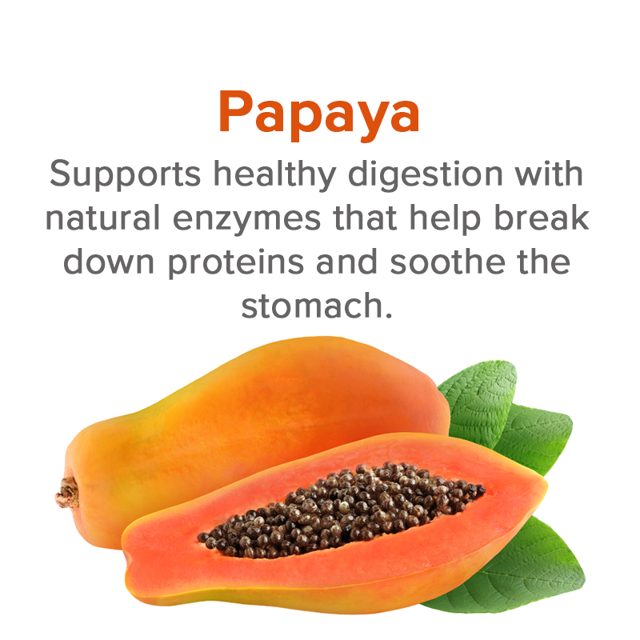 Papaya — ingredient in VetSmart Formulas Critical Digestive Restore