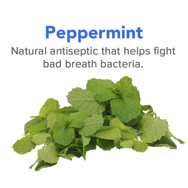 Peppermint — ingredient in VetSmart Formulas Total Oral Care