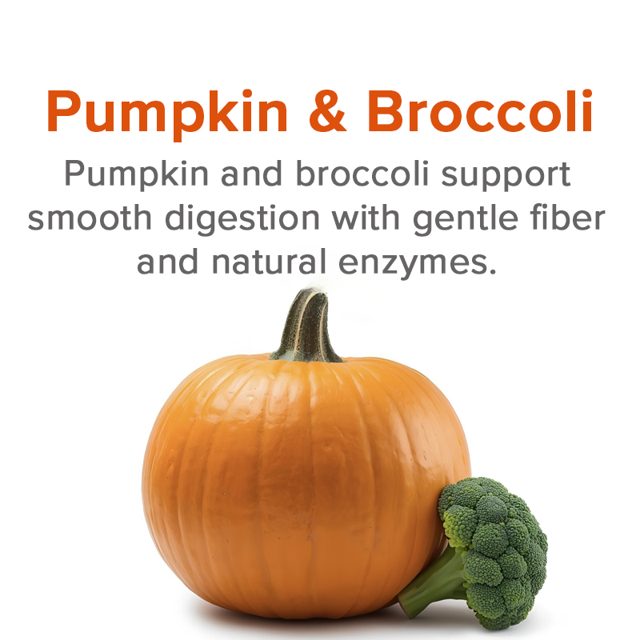 Pumpkin & broccoli — ingredient in VetSmart Formulas Critical Digestive Restore