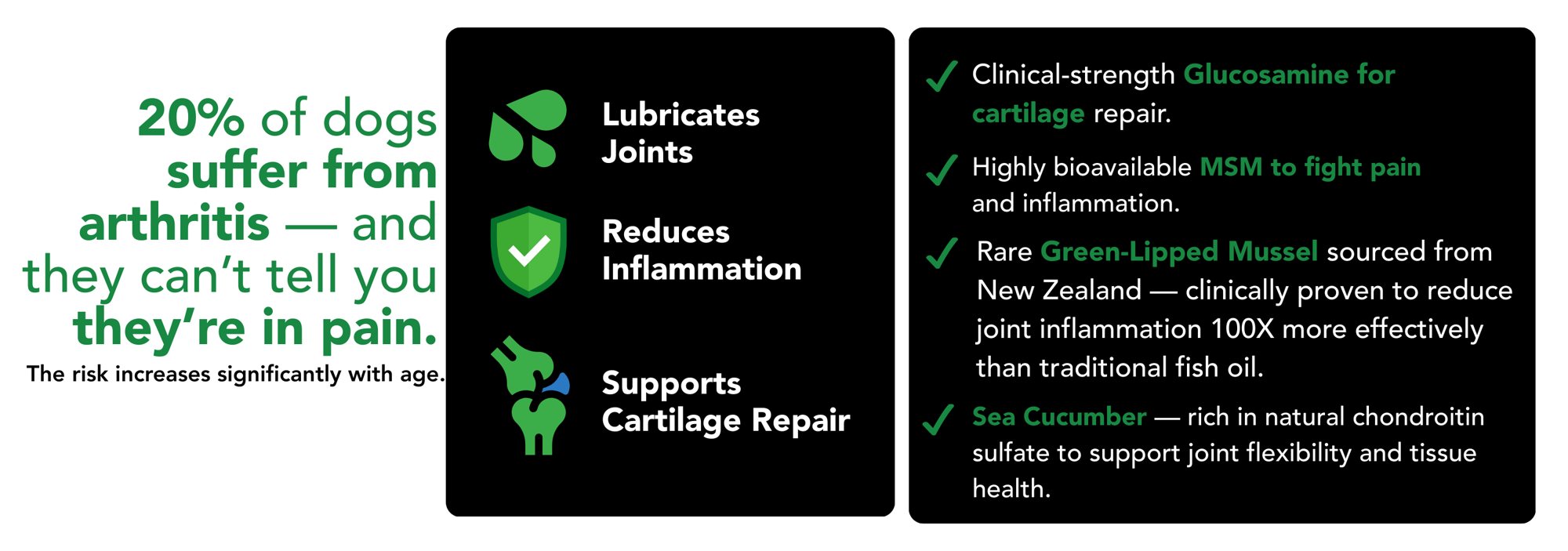 20% of dogs suffer from arthritis — Critical Joint Relief lubricates joints, reduces inflammation, supports cartilage repair