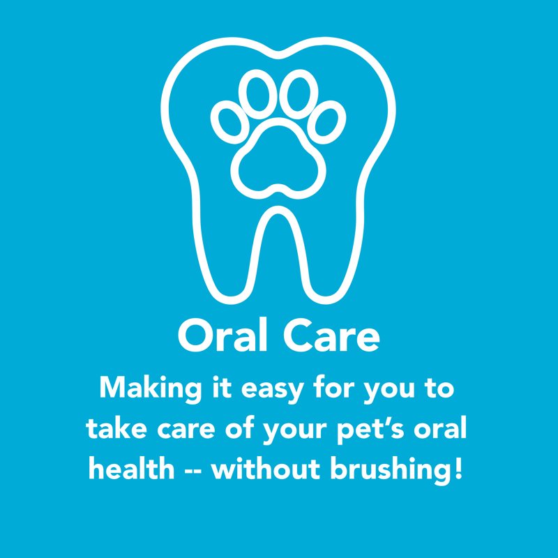 Oral Care — pet oral health without brushing
