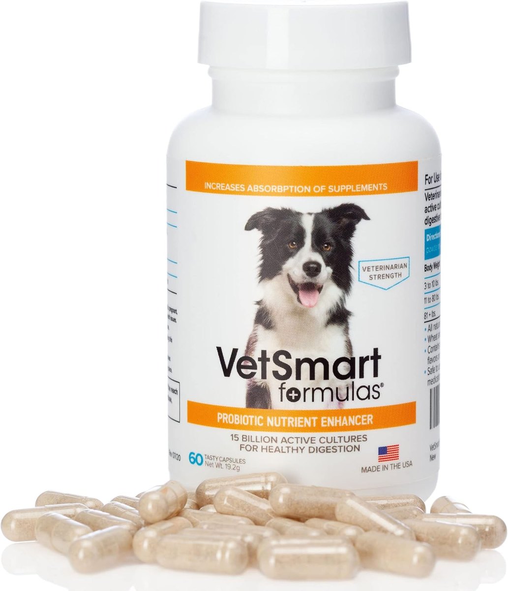 VetSmart Formulas Probiotic Nutrient Enhancer Capsules — 60 Count